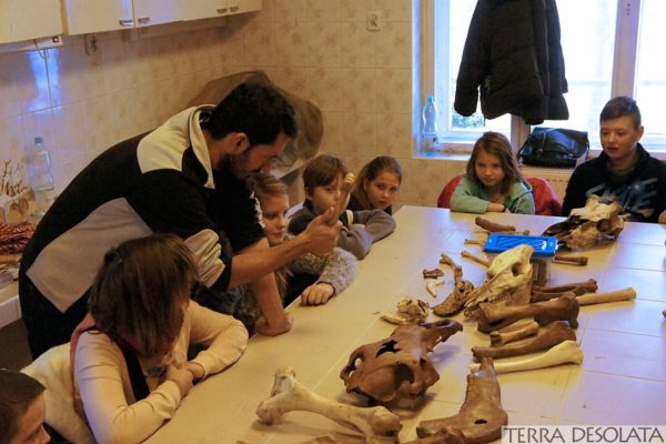 Opowiadanie o kościach zwierząt