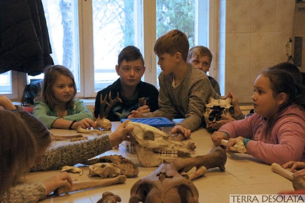 Dzieci podczas warsztatów archeozoologicznych