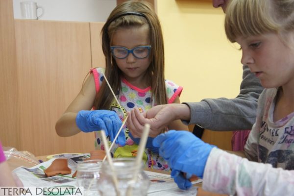 Warsztaty 3 Wakacje z archeologią - edukacja