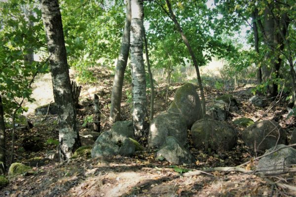 cmentarzysko w Pokrzywnicy Wielkiej cmentarzysko w Pokrzywnicy Wielkiej