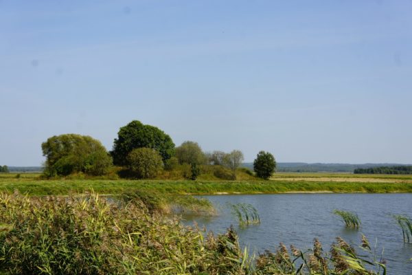 grodzisko w Grzebsku grodzisko w Grzebsku