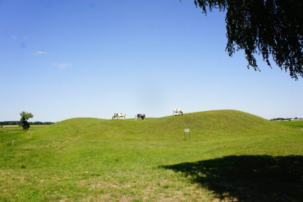 grodzisko w Sypniewie Grodzisko w Sypniewie