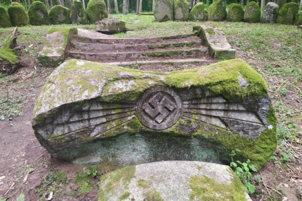 Zdjęcie nr 1 Zdjęcie nr 1