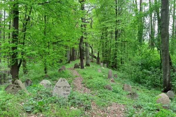 Zdjęcie nr 10 Zdjęcie nr 10