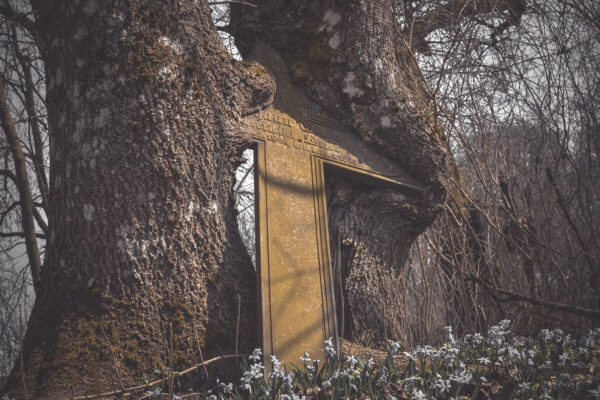 Zdjęcie nr 2 Zdjęcie nr 2