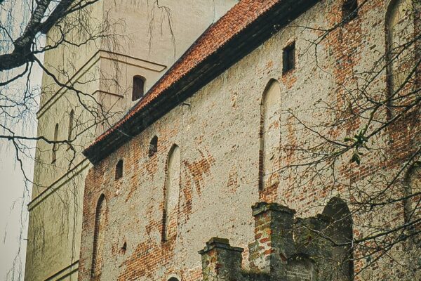 Zdjęcie nr 5 Zdjęcie nr 5