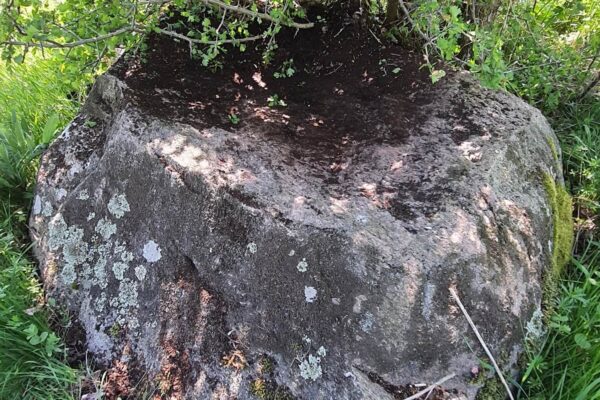 Zdjęcie nr 7 Zdjęcie nr 7