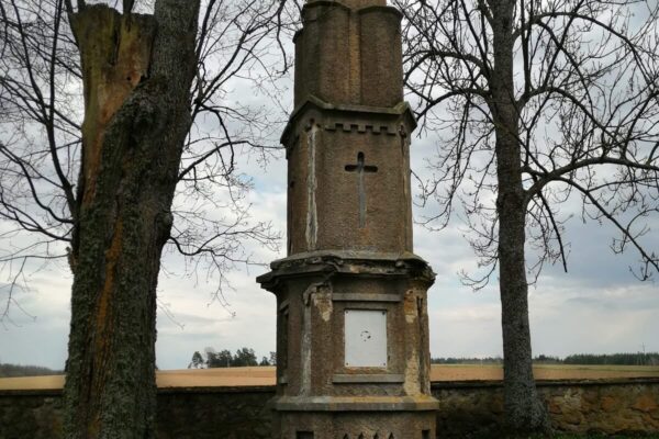 Zdjęcie nr 8 Zdjęcie nr 8