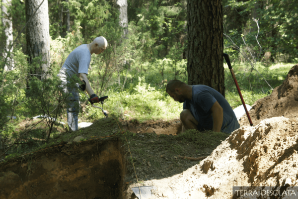 Image 003_2021 Image 003_2021