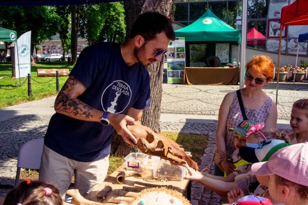 _DSC1165 (1) _DSC1165 (1)