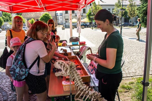 _DSC1181 (1) _DSC1181 (1)