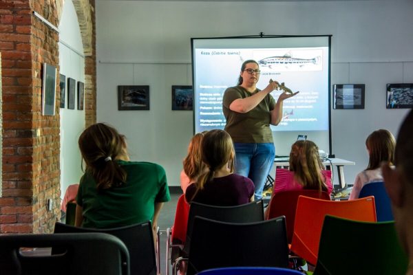 _DSC1188 (1) _DSC1188 (1)