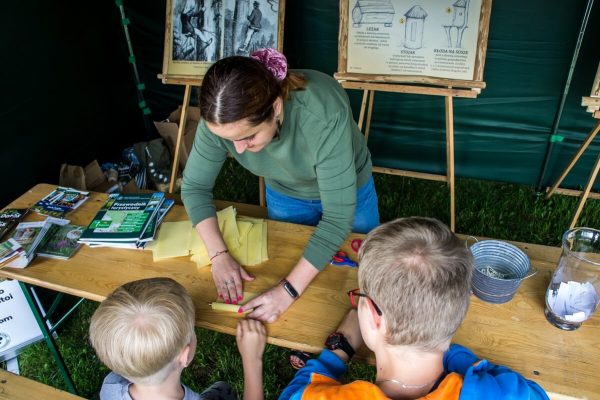 _DSC1374 (1) _DSC1374 (1)