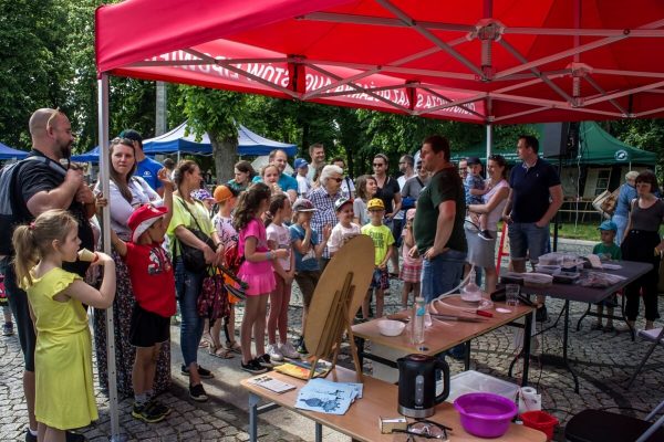 _DSC1481 (1) _DSC1481 (1)