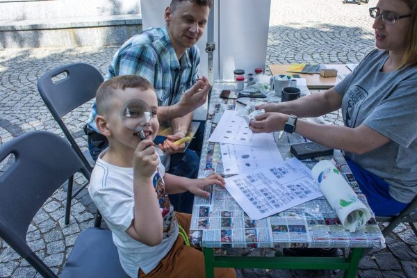 _DSC1486 (1) _DSC1486 (1)