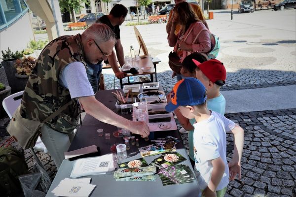 IMG_2164 (1) IMG_2164 (1)