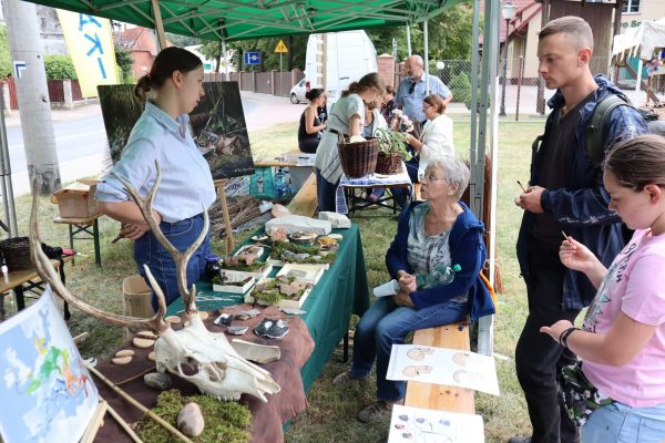 293439864_7725323460843538_4739247524861063095_n (1) 293439864_7725323460843538_4739247524861063095_n (1)