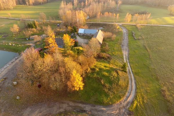 Dzierwany, stan. 1 i 5