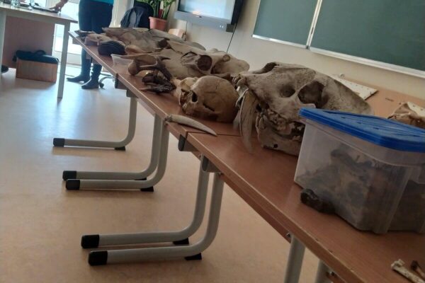 IMG_20240226_105834_Easy-Resize.com (1) IMG_20240226_105834_Easy-Resize.com (1)