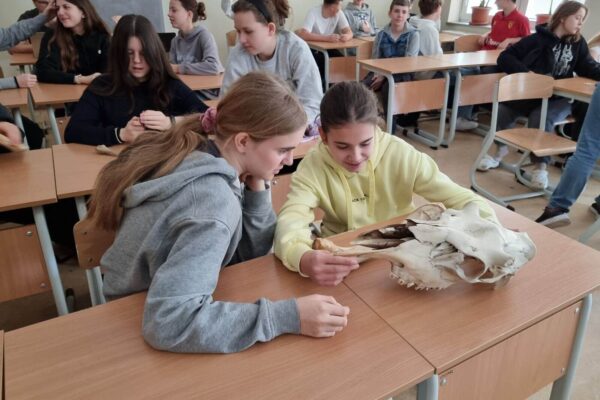 3_Easy-Resize.com (1) Fot. Szkoła Podstawowa im. św. Jadwigi Śląskiej