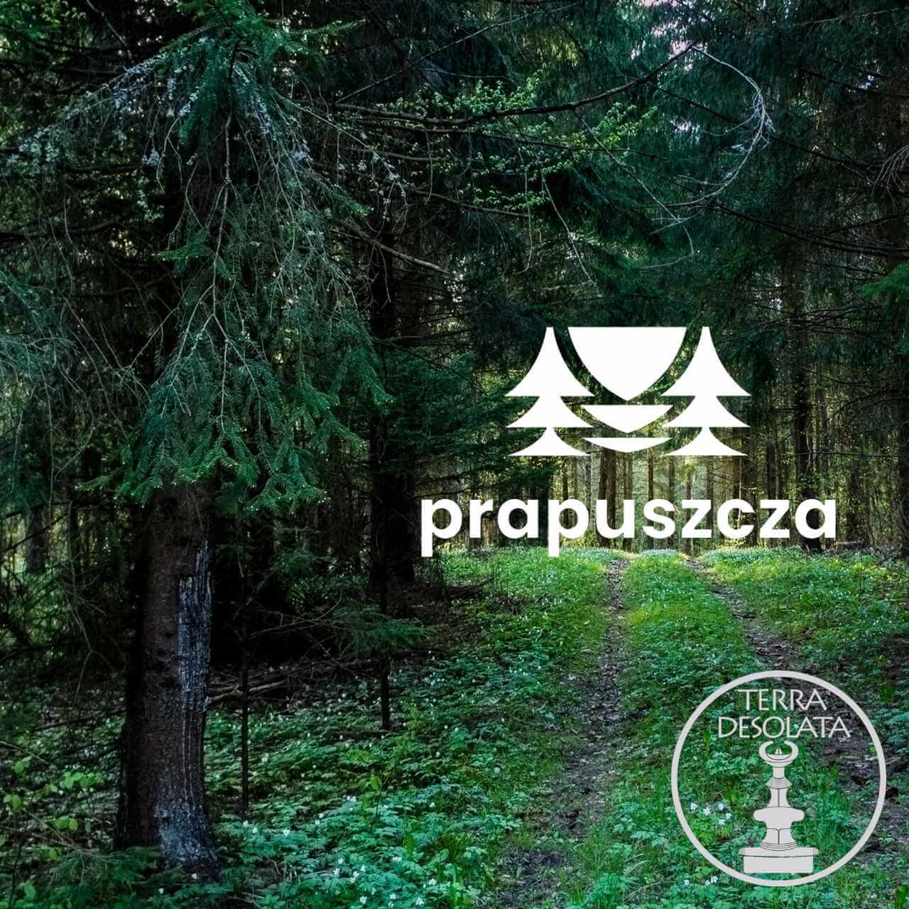 Zdjęcie wiosennego lasu iglastego z drogą na środku, z prawej białe logotypy: prapuszcza i Terra Desolata