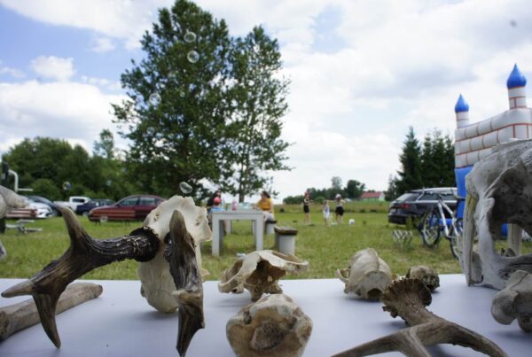 widok na plac, samochody, dmuchany zamek, siedzących na ławkach ludzi z wysokości stolika ze zwierzęcymi kośćmi