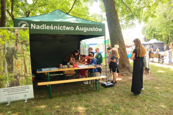 IMG_0499 namiot Nadleśnictwa Augustów, dzieci wykonują zadania pod okiem leśniczki