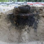 profil obiektu grobowego (czarna ziemia z popielnicą na tle jasnobrunatnego piasku)