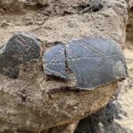 zbliżenie na fragmenty zniszczonej urny, widać kropkowany wzór na naczyniu