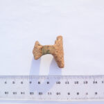 zapinka typu 133 sfotografowana z miarką