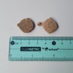 dwie zawieszki monetkowe sfotografowane z miarką