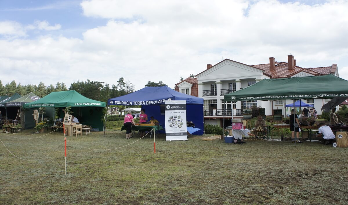 Widok na namioty piknikowe i budynek nadleśnictwa Borki za nimi