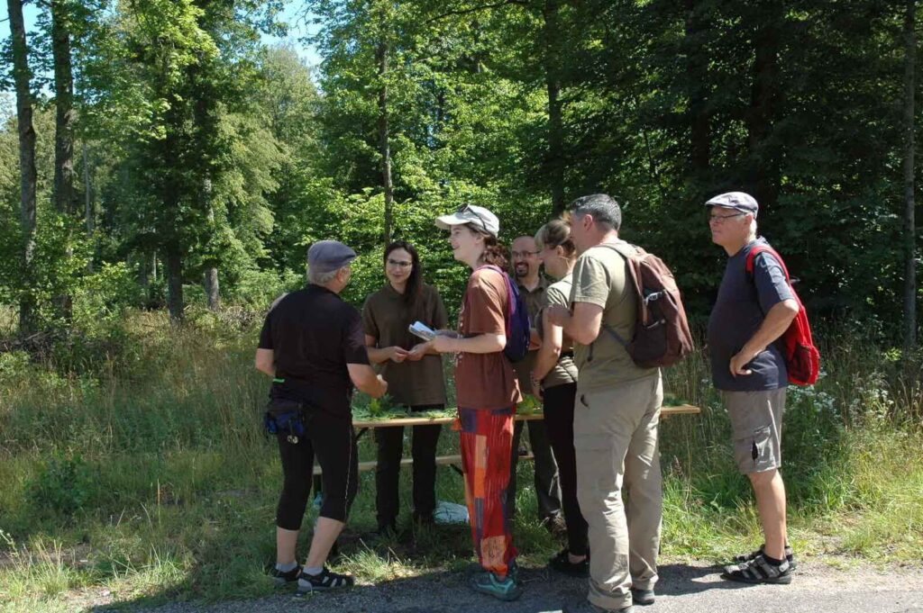 gracze na stoisku Nadleśnictwa Czerwony Dwór