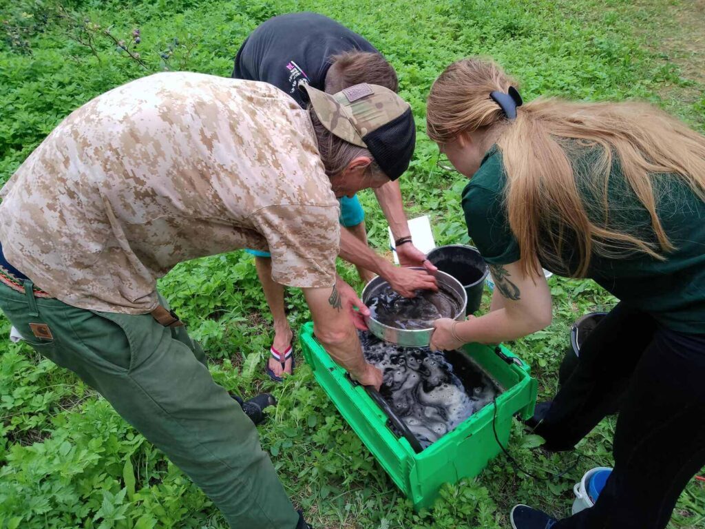 flotowanie gleby pod kątem makroszczątków przy pomocy metalowych sit, wody i pompki i pojemnika na wodę: pracują 3 osoby