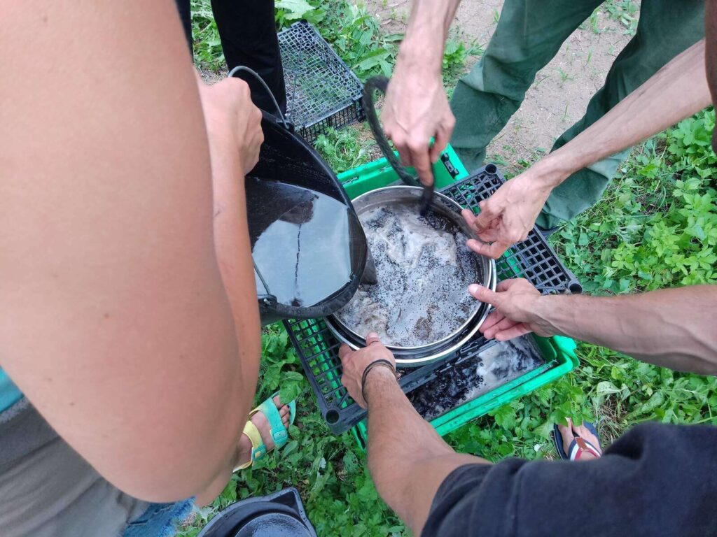 flotowanie gleby pod kątem makroszczątków przy pomocy metalowych sit, wody i pompki i pojemnika na wodę: pracują 3 osoby