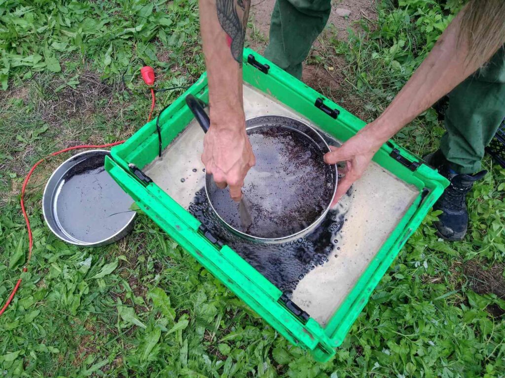 flotowanie gleby pod kątem makroszczątków przy pomocy metalowych sit, wody i pompki i pojemnika na wodę: pracuje Malik trzymając sito i rurkę pompki