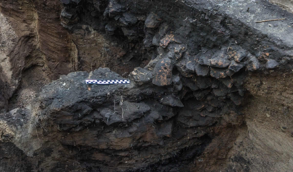Zbliżenie na profil w jamie śmietniskowej i widoczne ciężarki tkackie in situ