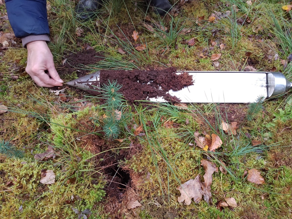 Zbliżenie na świder leżący na trawie