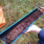 Zbliżenie na próbkę gleby w formie