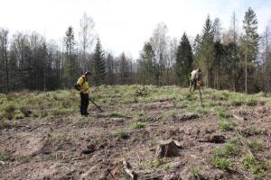 Dwóch poszukiwaczy sprawdza zrąb
