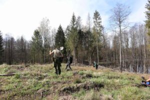 Widzimy trzech poszukiwaczy sprawdzających zrąb