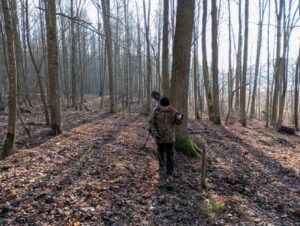 Członek ekipy z wykrywaczem przemierza wiosenny las