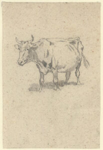 krowa widziana z boku, rysunek ołówkiem