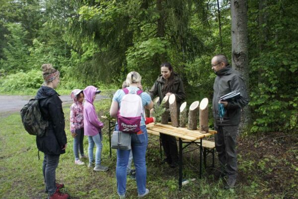 Drużyna przy stanowisku leśników rozpoznaje drzewa po fragmentach pni.