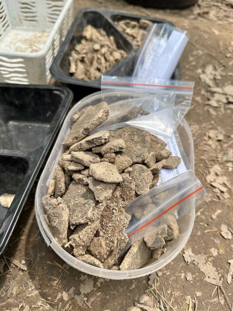 Fragmenty ceramiki i kości ułożone w pojemnikach