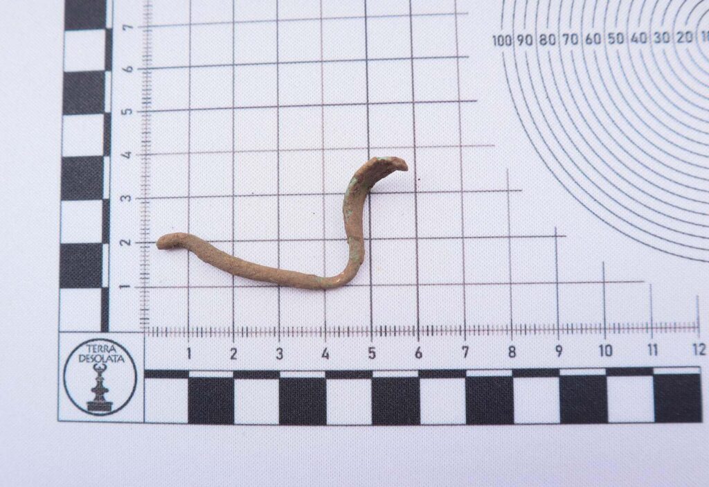 brązowy pozginany kolec zapinki leży na podkładce ze skalą