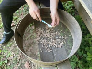 Czyszczenie kości ludzkich z pochówku ciałopalnego szczoteczką z piasku.