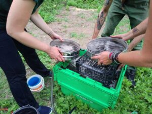 Trzy osoby flotują próbkę ziemi trzymając 2 sita przelewane wodą.