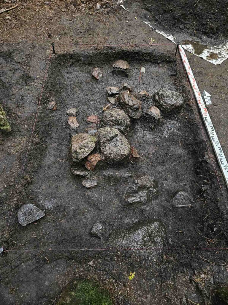 odsłonięty poziom kilku cm wykopu, a w nim duże i małe kamienie zniszczonego paleniska
