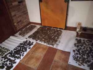 Na foliach na podłodze suszą się fr. ceramiki i polepa.